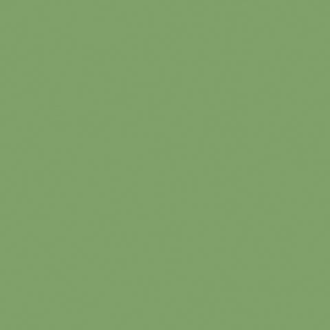 DecoArt Crafter's Acrylic Paint, 2 oz., Olive Green