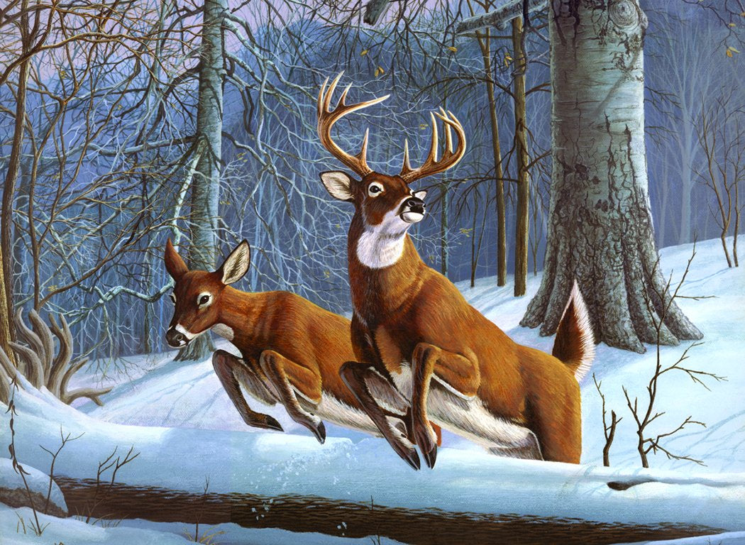 Royal Brush Adult Painting by Numbers Kit, White Tails