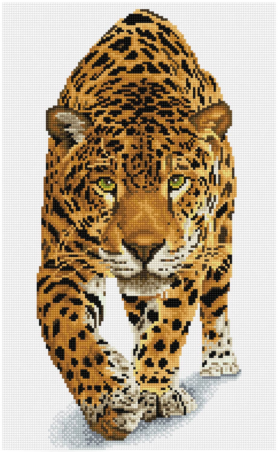 On the Prowl (Framed Square)