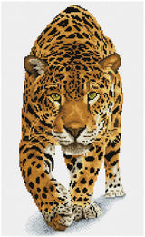 On the Prowl (Framed Square)