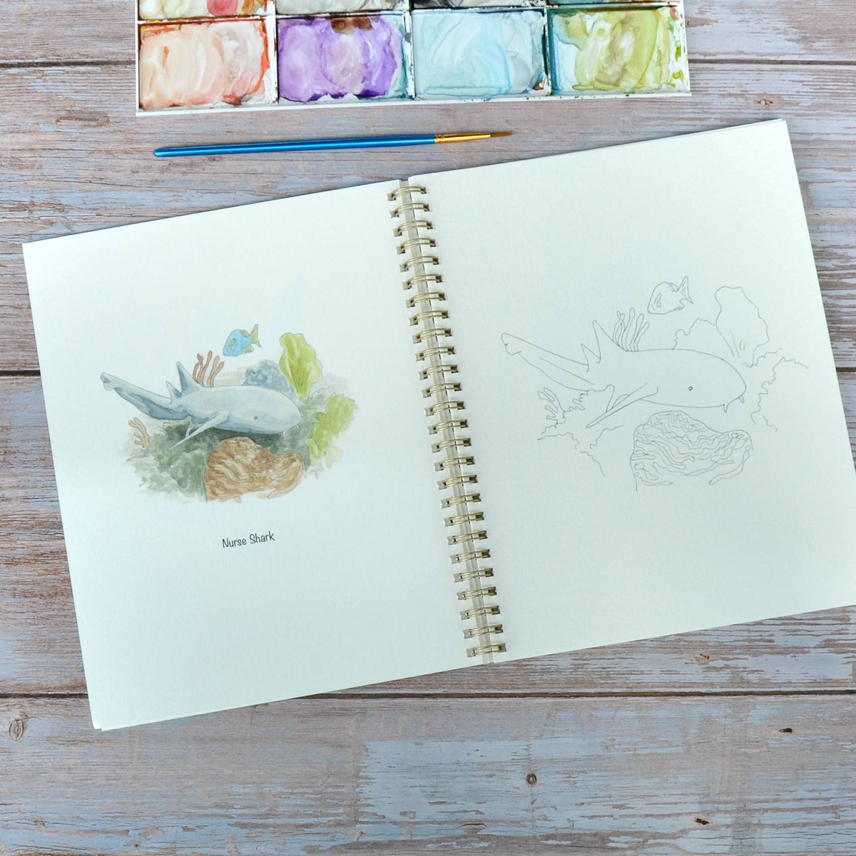 Watercolor workbook, Shark themed Watercoloring book