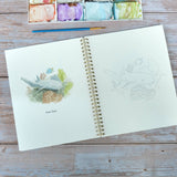 Watercolor workbook, Shark themed Watercoloring book