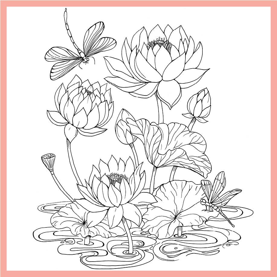 Tropical Wonderland: A Calming Coloring Book for Adults