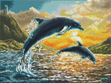 Dolphin Sunset (Framed Square)