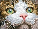 Green Eyed Beauty (Framed)