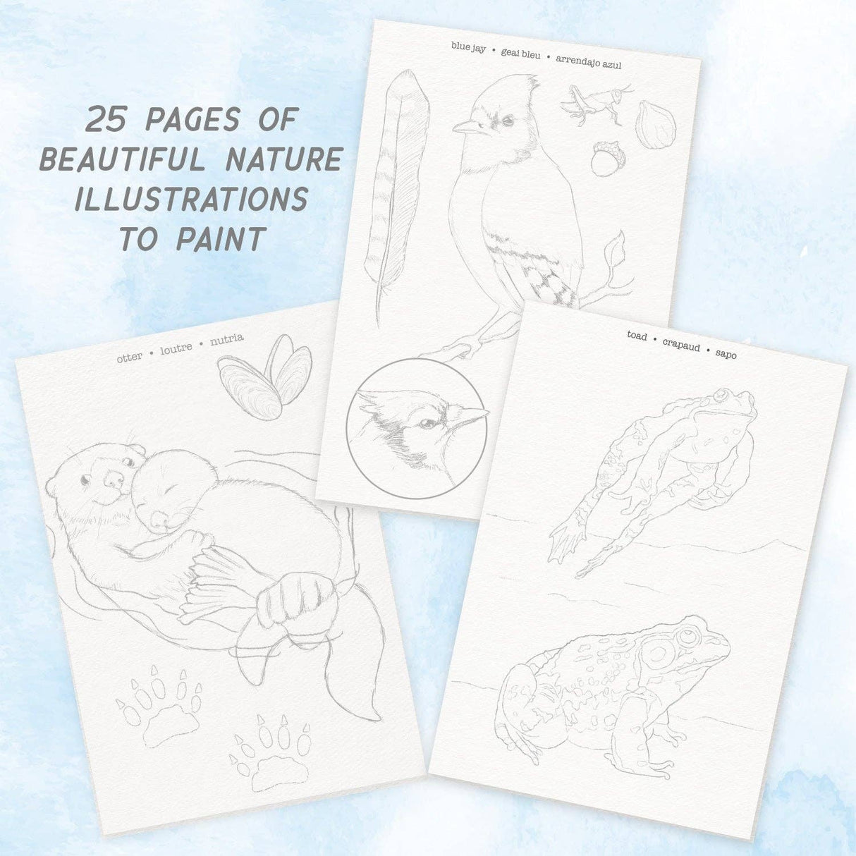 Watercolor Journal - Fauna