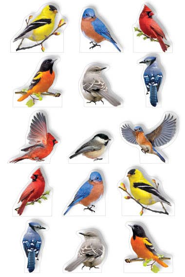 Pop Up Scrapbook Stickers - Backyard Birds