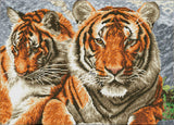 Tigers (Framed Square)