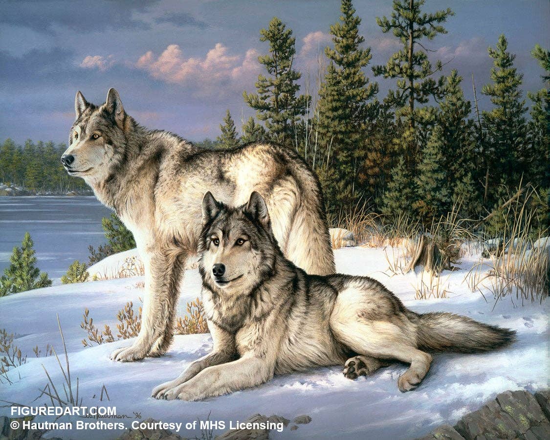 Figured'Art Paint By Number Framed Kit-Wolves Frame