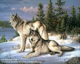 Figured'Art Paint By Number Framed Kit-Wolves Frame
