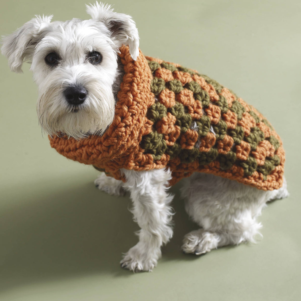 Granny Squares Everywhere