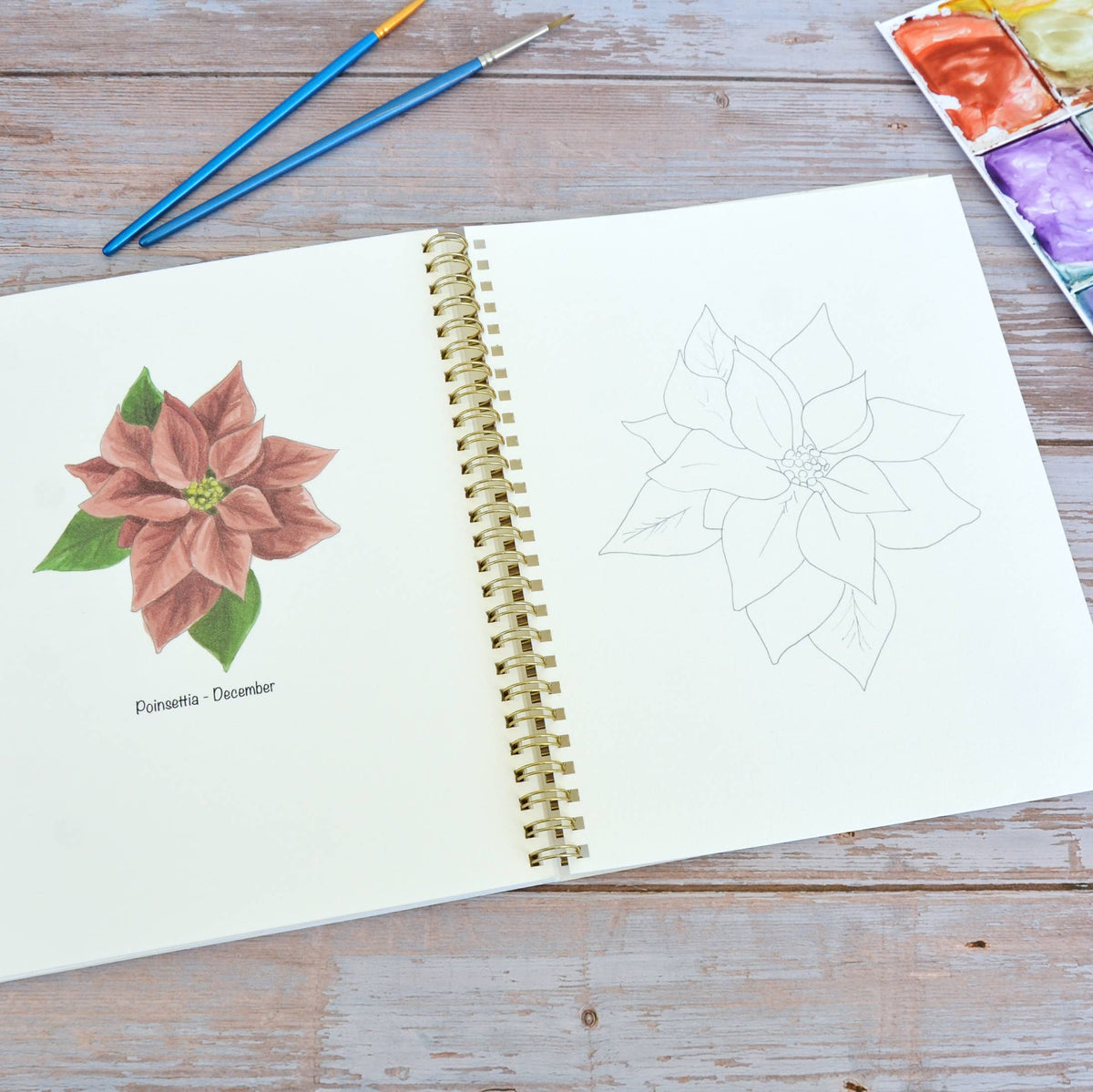 Watercolor workbook, Birth Month Flowers Watercoloring book