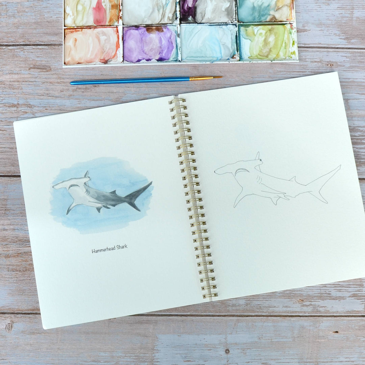 Watercolor workbook, Shark themed Watercoloring book