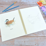 Watercolor workbook, Water Birds Themed Watercoloring book