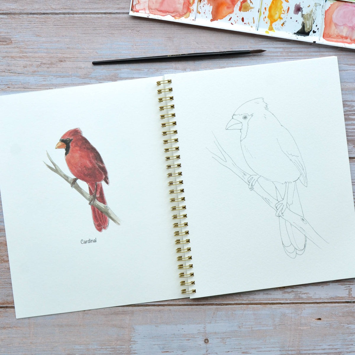 Watercolor workbook, Virginia Themed Watercoloring book