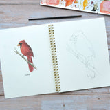 Watercolor workbook, Virginia Themed Watercoloring book