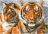 Tigers (Square)