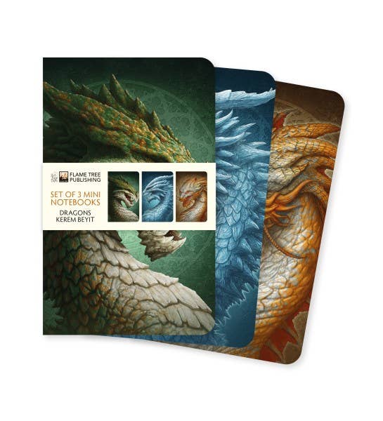 Kerem Beyit: Dragons Set of 3 Mini Notebooks