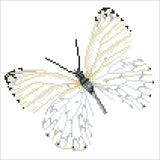 Flutter by White