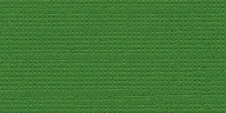 Bazzill Fourz Cardstock 12"X12"-Patch/Grasscloth
