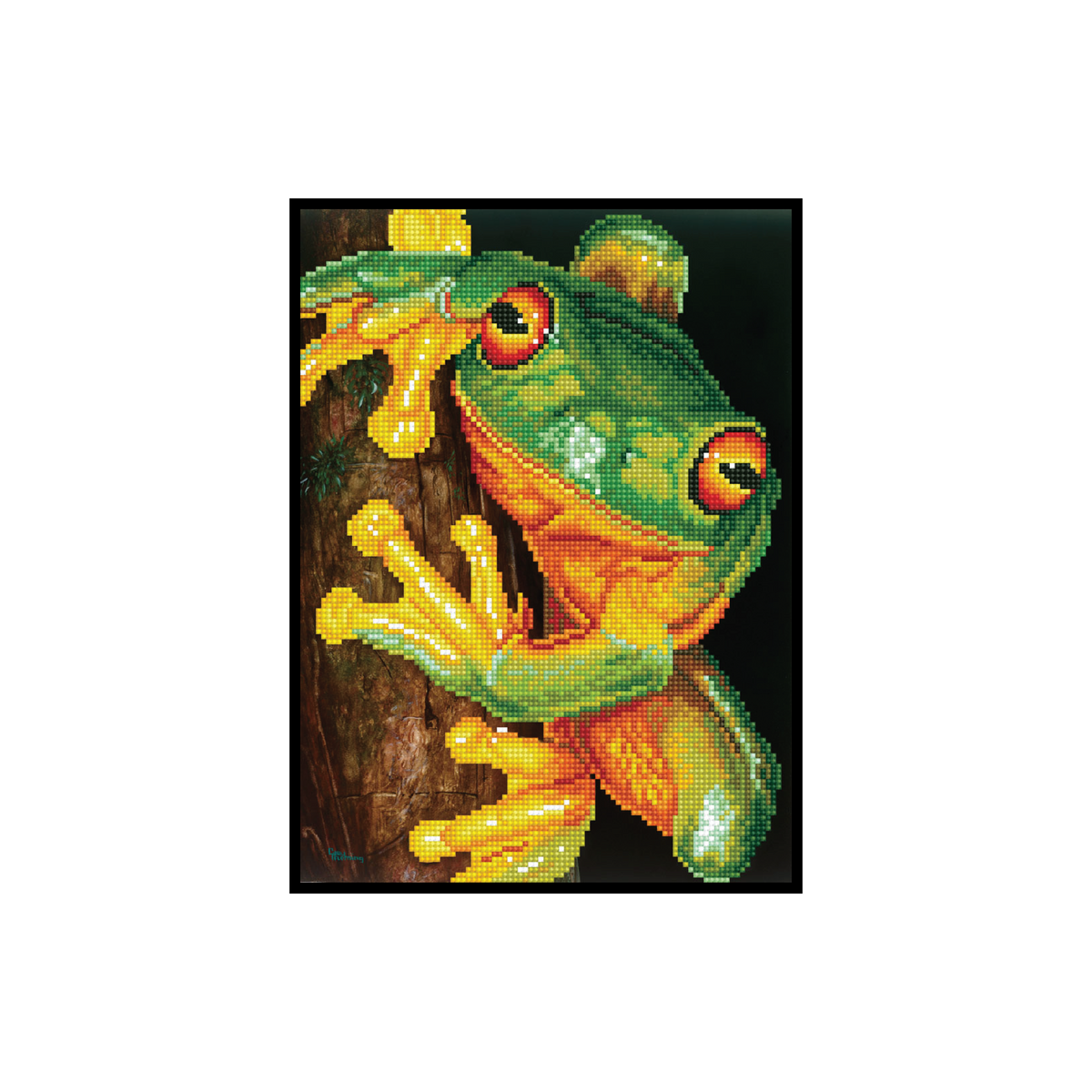 Green Tree Frog Pre-Framed Kit - 10.6" x 14.6"