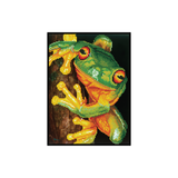 Green Tree Frog Pre-Framed Kit - 10.6" x 14.6"