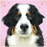 Say Hello to Zuzu (Framed Square)
