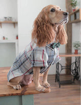 Making Clothes for Your Dog - How to Sew and Knit Outfits
