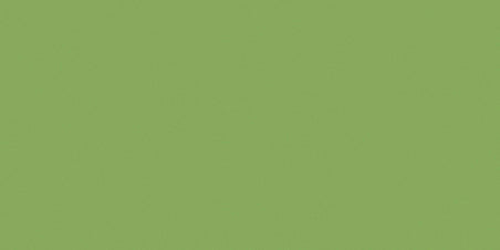 Bazzill Smoothies Cardstock 12"X12"-Lime Crush/Smoothies