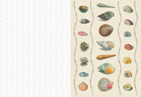 Collage Compendium