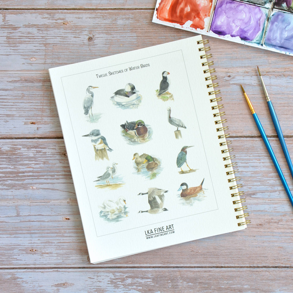 Watercolor workbook, Water Birds Themed Watercoloring book