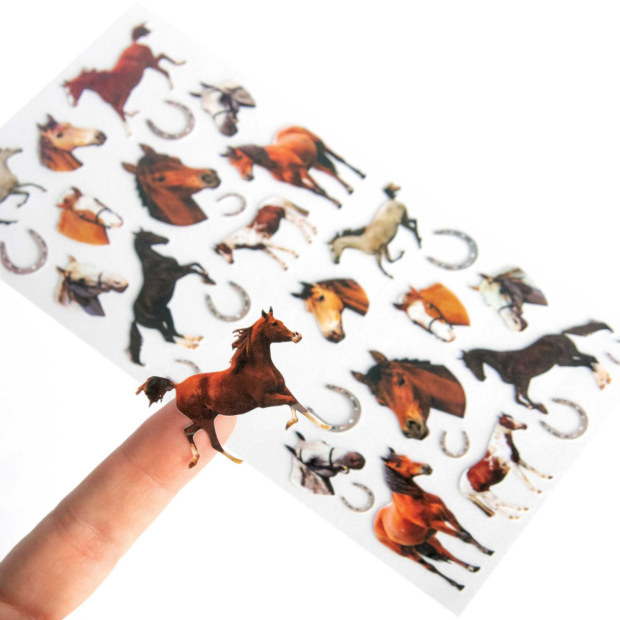 Decorative Stickers - Horses