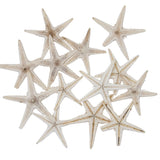 Mini Starfish 1-2"