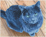 Velvet (Framed Square)