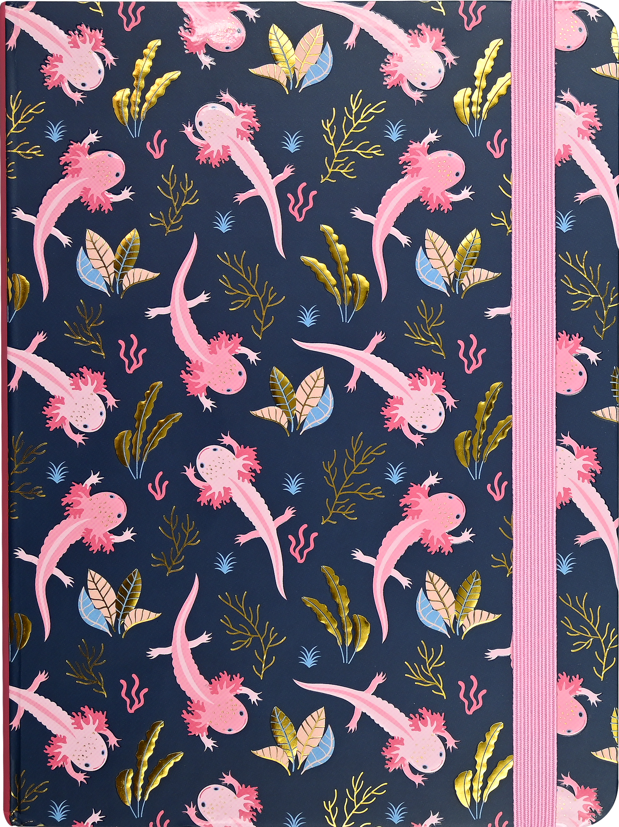 Axolotls Journal