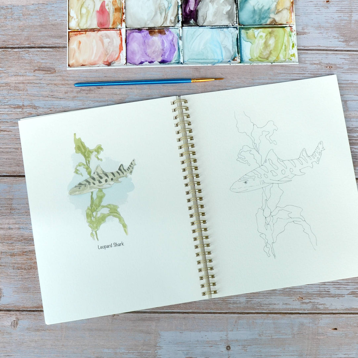 Watercolor workbook, Shark themed Watercoloring book