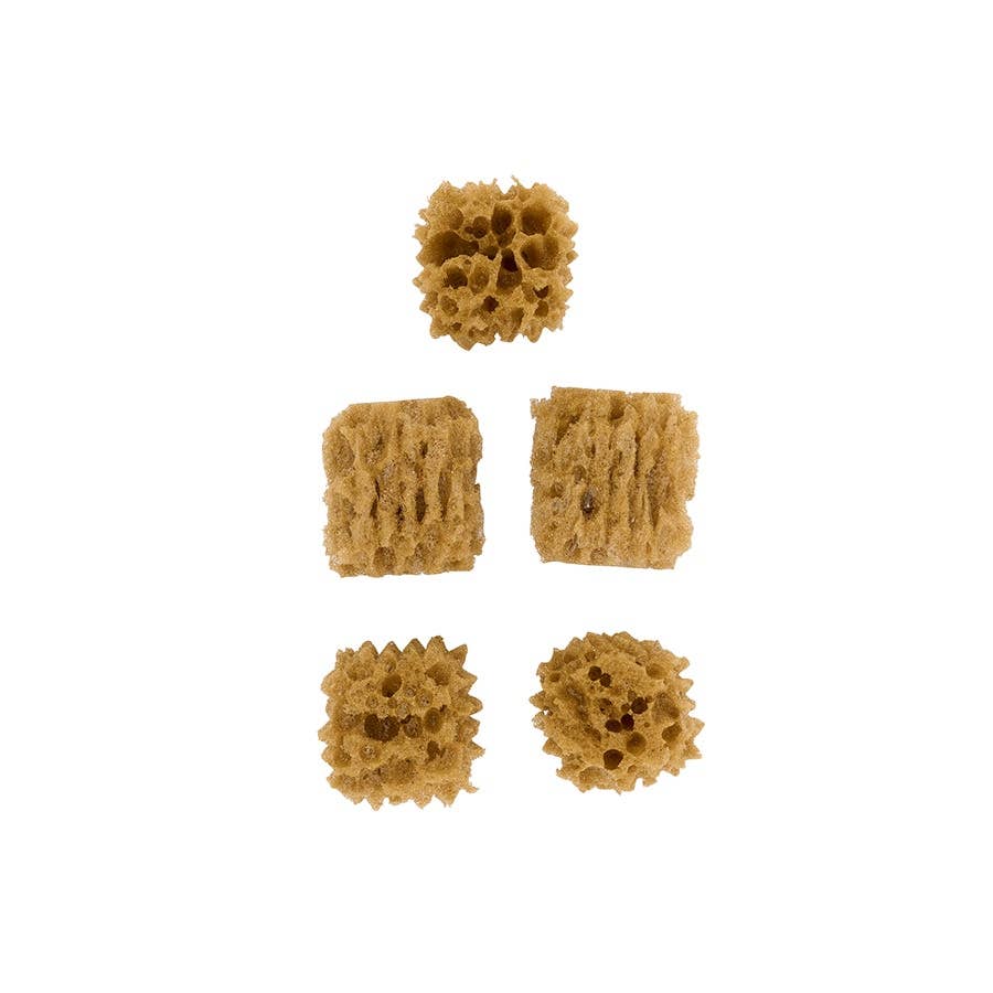 FolkArt ® Sponge Value Pack - 5-Piece