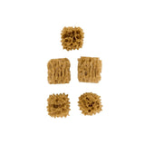 FolkArt ® Sponge Value Pack - 5-Piece