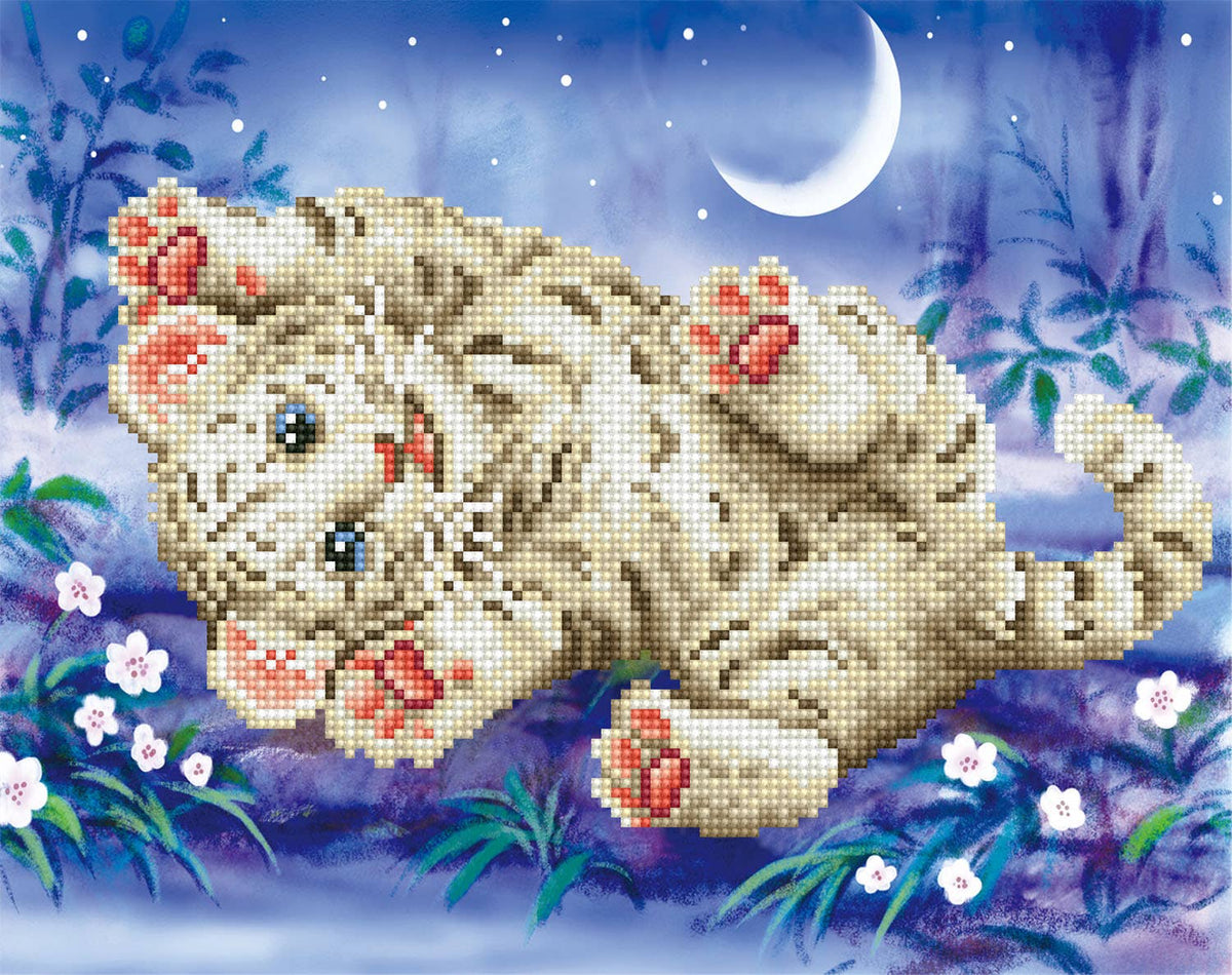 Baby Tiger Roly Poly (Framed)