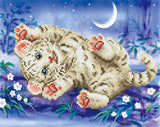Baby Tiger Roly Poly (Framed)