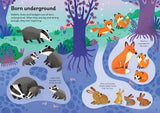 Little First Stickers Baby Animals : Usborne