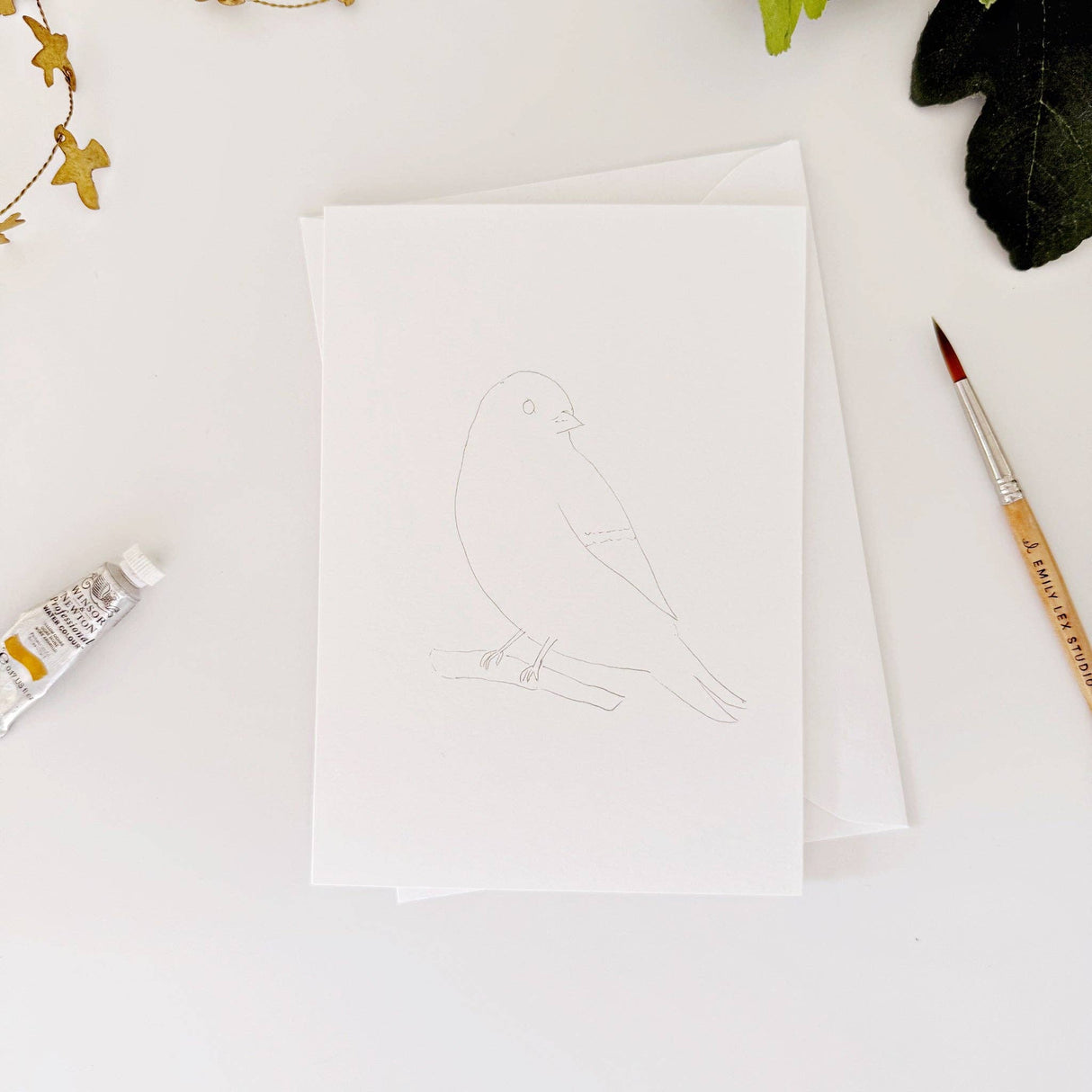 Backyard birds Emily Lex paintable notecards