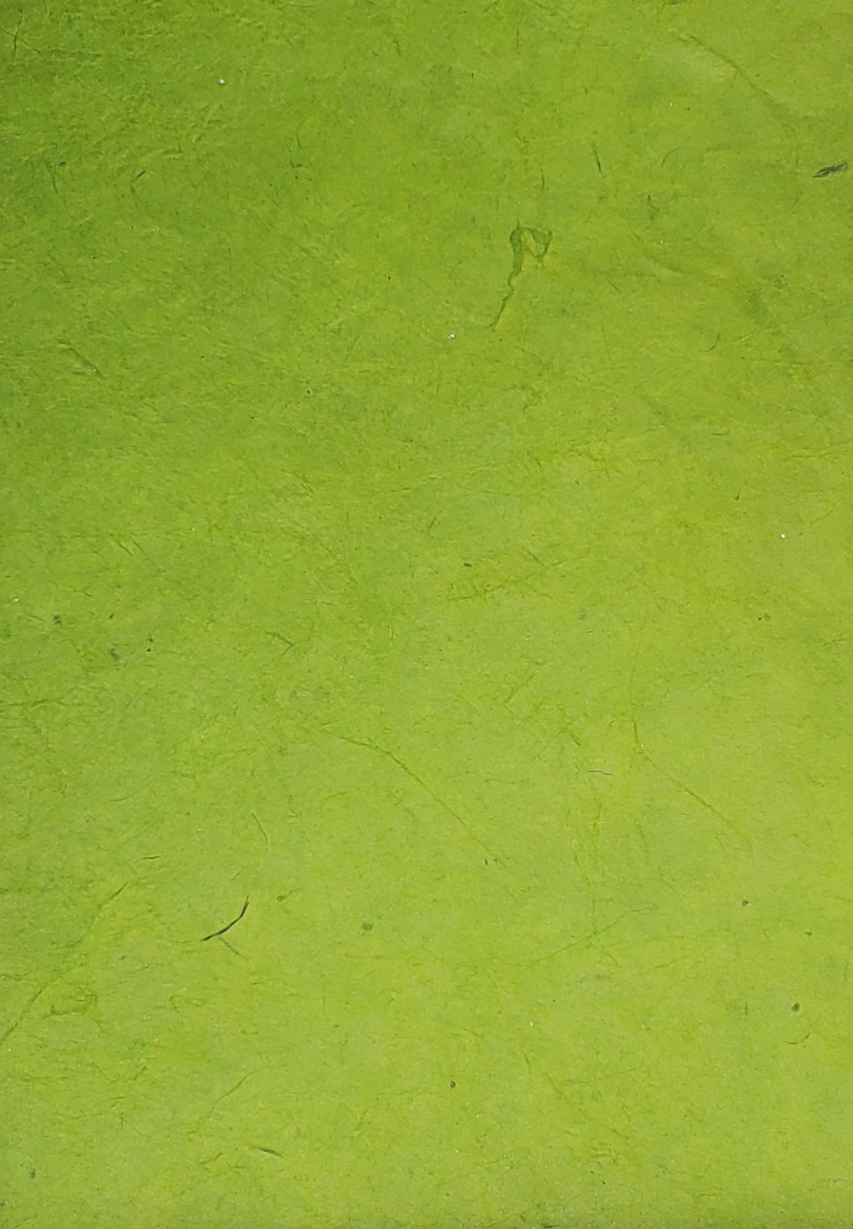 Lokta Dyed Olive