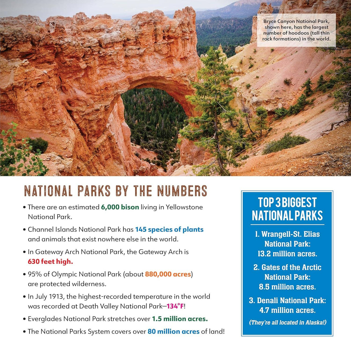 Ultimate National Parks Coloring Book - Amazing Scenes