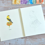 Watercolor workbook, Backyard Birds Watercoloring book
