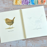 Watercolor workbook, Backyard Birds Watercoloring book