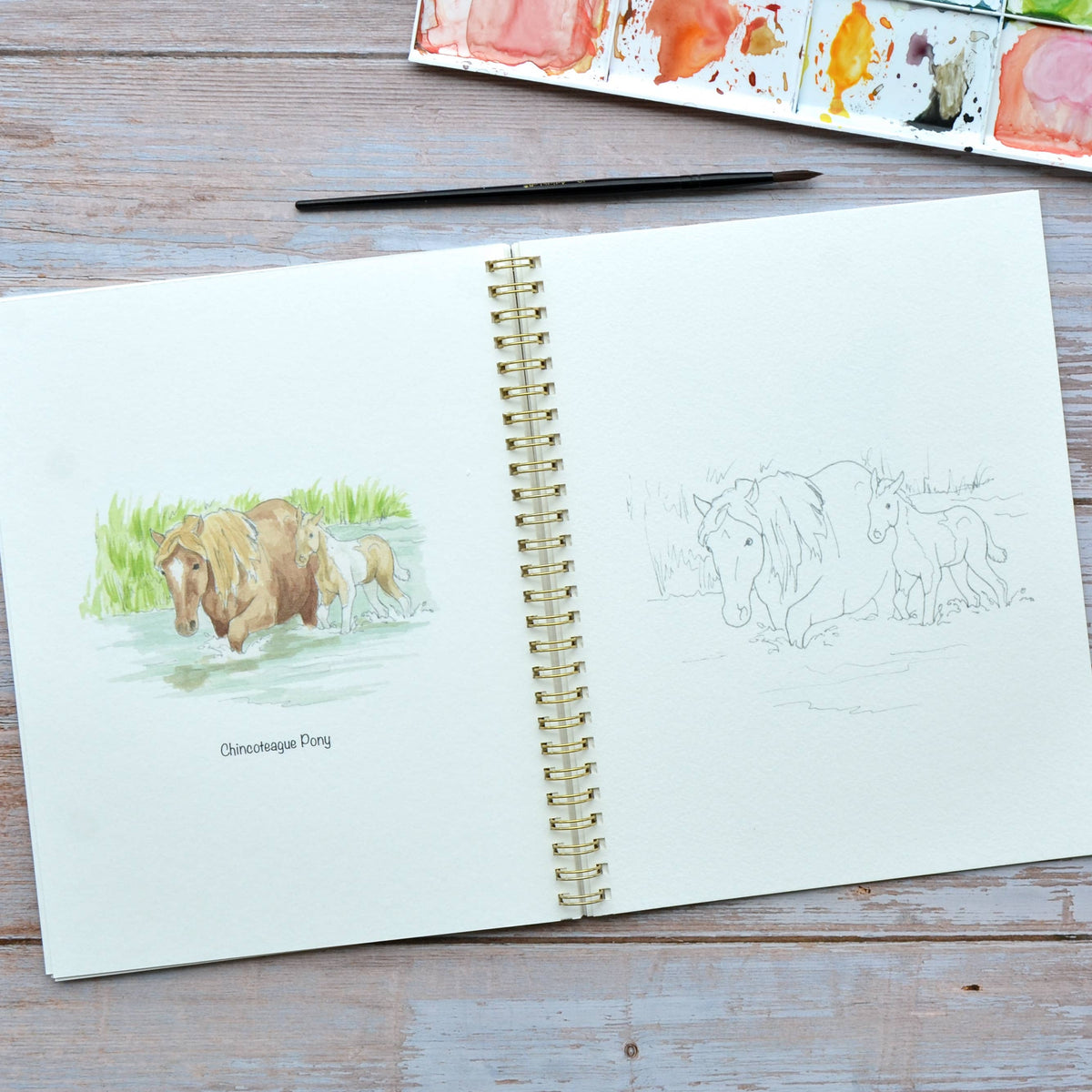 Watercolor workbook, Virginia Themed Watercoloring book