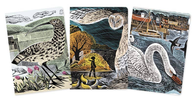 Angela Harding: Wildlife Set Of 3 Standard Notebooks