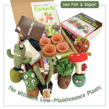 Needle Felting Cactus Kit