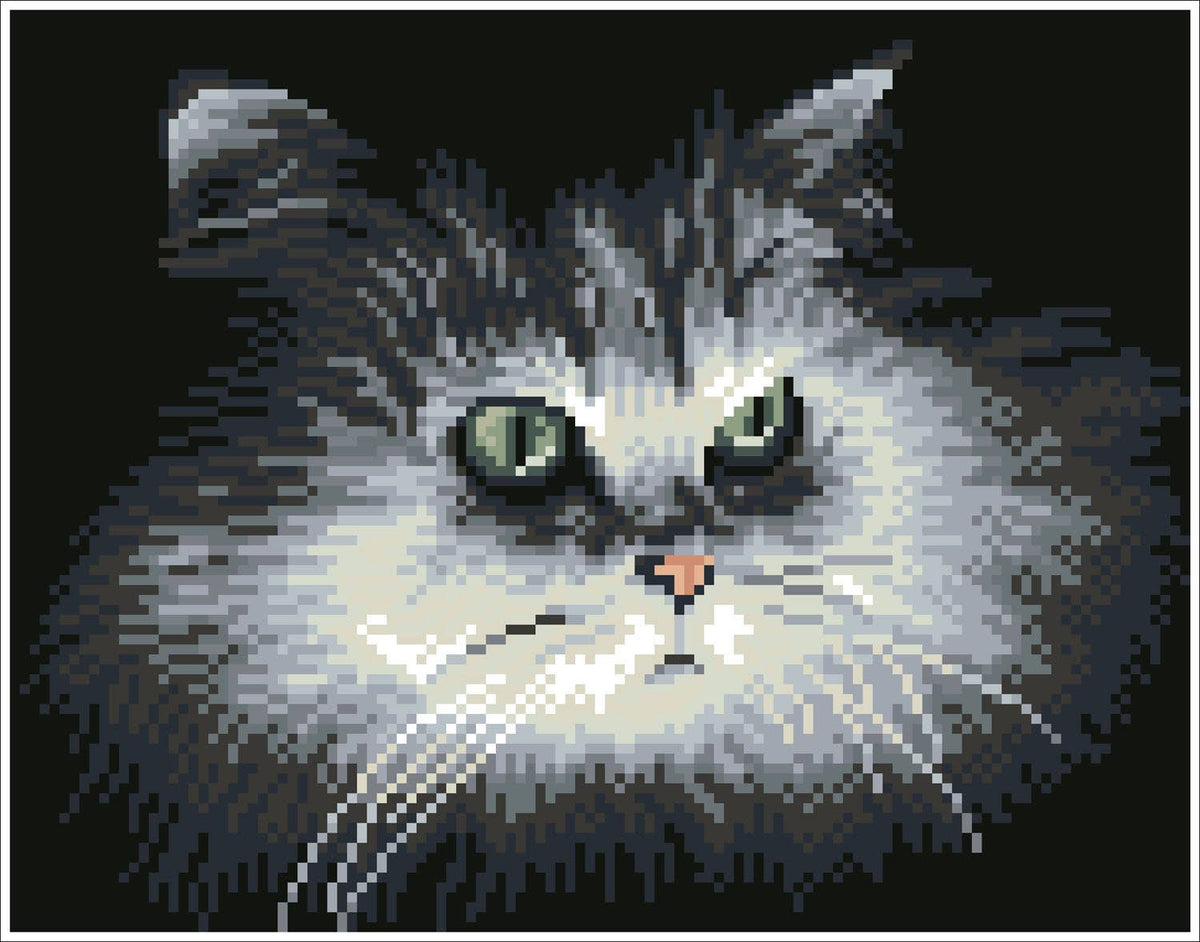 Shadow Cat (Framed Square)